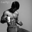 스파렉스 이미지