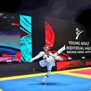 한국태권도 이미지