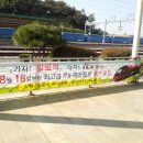 일로역 Daum카페