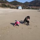 소렌토펜션엔민박 이미지