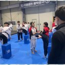 아이사랑 태권도 이미지