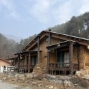 터좋은 황토하우스 | [영월 여행]강원도 촌캉스 황토방 강추 '숲속트리하우스'🌲