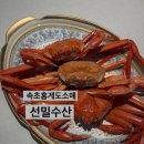 목구멍속초점 | 속초홍게도소매 선밀수산 자숙홍게 3kg 후기