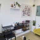 하이슈슈 이미지