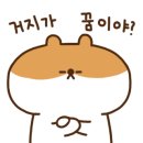 컴페니언펫 이미지