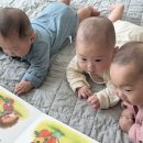 [육아/베틀북] 삼둥이 첫 전집 프뢰벨 가족 베틀북 '엄마의 첫 선물’