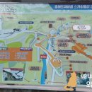 한섬감성바닷길 | 설 구정연휴에 떠난 가족 여행 도째비골 스카이밸리, 천곡황금박쥐동굴 솔직리뷰