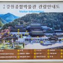 강원종합기획