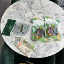 오늘도 뽀송하개 이미지