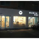 마리오펫 이미지