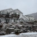 스텔라 펜션 | 석모도 펜션 ‘스텔라 펜션’ 인천 강화도 가볼만한 곳 보문사 가족 펜션 추천