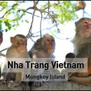 바다와 하루 이미지