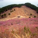 진달래목장 이미지