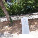 충(忠)을 세운 금산의 인물
