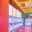 더 플레이(The play) 이미지