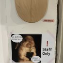 턴어라운드플랜트