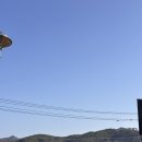 GS25 동작상떼빌점 | 미리내 힐빙클럽 찜질방, 카라반 숙소 가격 내돈내산 후기