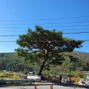 곰내추어탕 | 부산 기장 맛집, 곰내 추어탕에서 맛있는 가을 점심 한 끼 했어요.