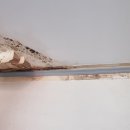 성서와룡타운 이미지