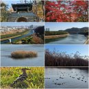 해파랑길 6-7코스 이미지