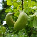 서광동리 이미지