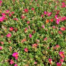 통큰노래연습장 이미지