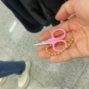 2024.03 여행 일기장