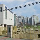 다이소 건너편 횡단보도 이미지