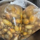 명성수산 진동미더덕 포장 후기, 다시 찾게 되는 맛!