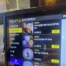 술마실고양 이미지