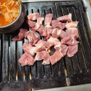 덩어리생고기