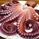 울진대게 이미지