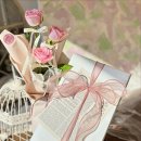 타티아르 이미지