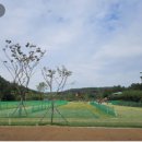 정촌 파크골프장 이미지