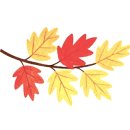 꿈숲유치원 이미지