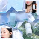 허밍독 | 올영 세일 올리브영 향수추천 봄에 어울리는 슬로우허밍 고체향수, 야생화 컬렉션