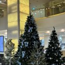 아쿠아팰리스 | 부산 광안리 호텔 추천│광안대교 뷰 끝판왕, 호텔 아쿠아팰리스 디럭스오션뷰 더블룸 후기