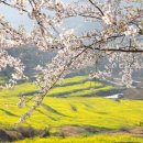 남해-139 이미지