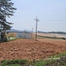 천지배농장 이미지