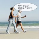 반차쓰고 꽃구경 다녀왔네요 이미지