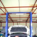 카프랜즈 이미지