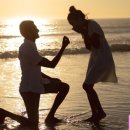 어울림국제결혼 이미지