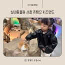 연못 게임장 | 쥬뗌므 키즈랜드 아이랑 실내 갈만한 곳 실내 동물원 내돈내산 솔직 후기