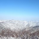 제95차 정기 산행 충남의 칠갑산 이미지