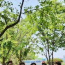 아산한빛의원 이미지