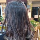 헤어클럽 이미지