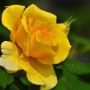 경주중학교 이미지