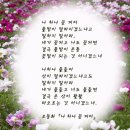 나 하나 꽃 피어~ 이미지