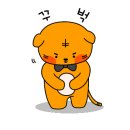 한성카 - 시흥시 역전로 195 | 한성카