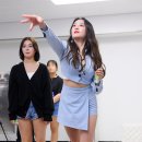 태하 티브이데일리